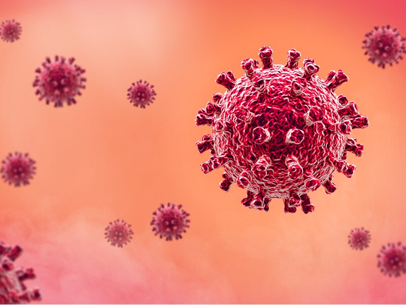 Immunsystem unterstützen