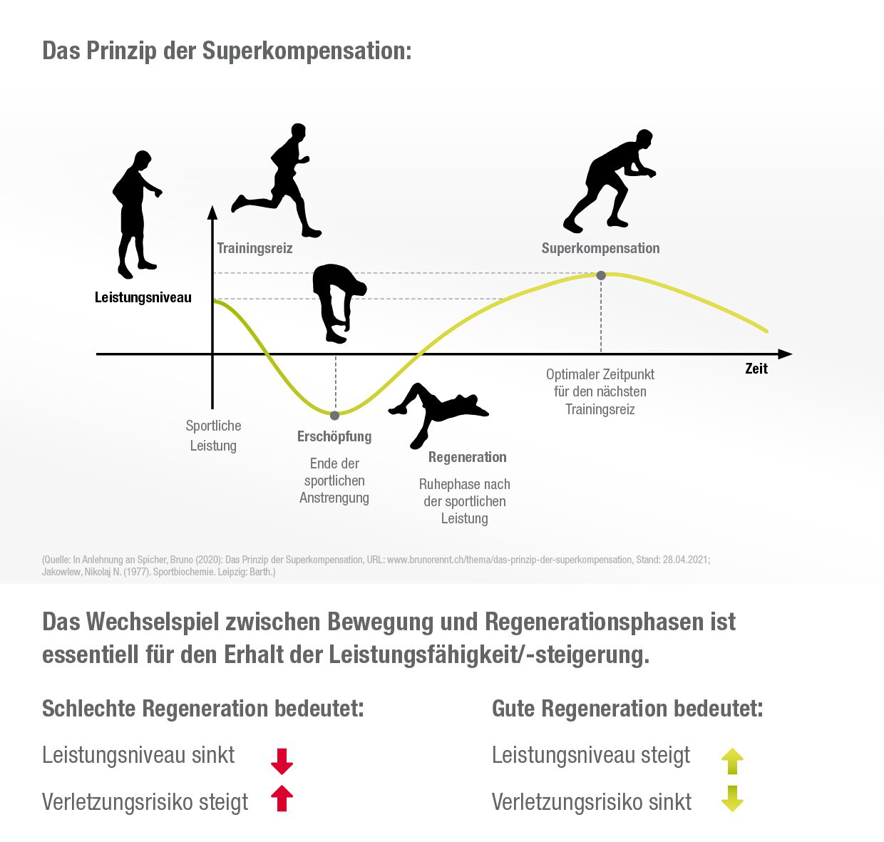 Regenerationsgrafik Superkompensation
